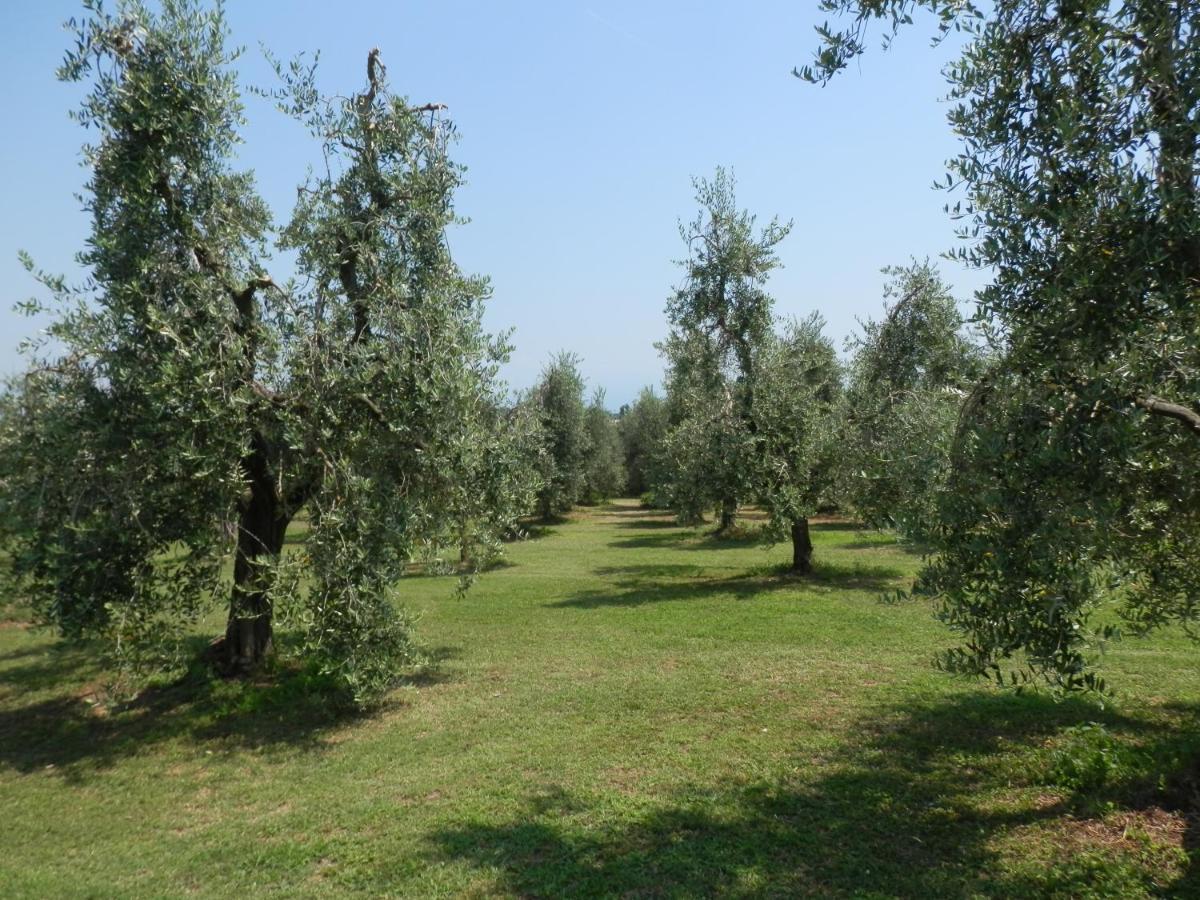 Agriturismo Fioralba Polpenazze del Garda Exterior photo