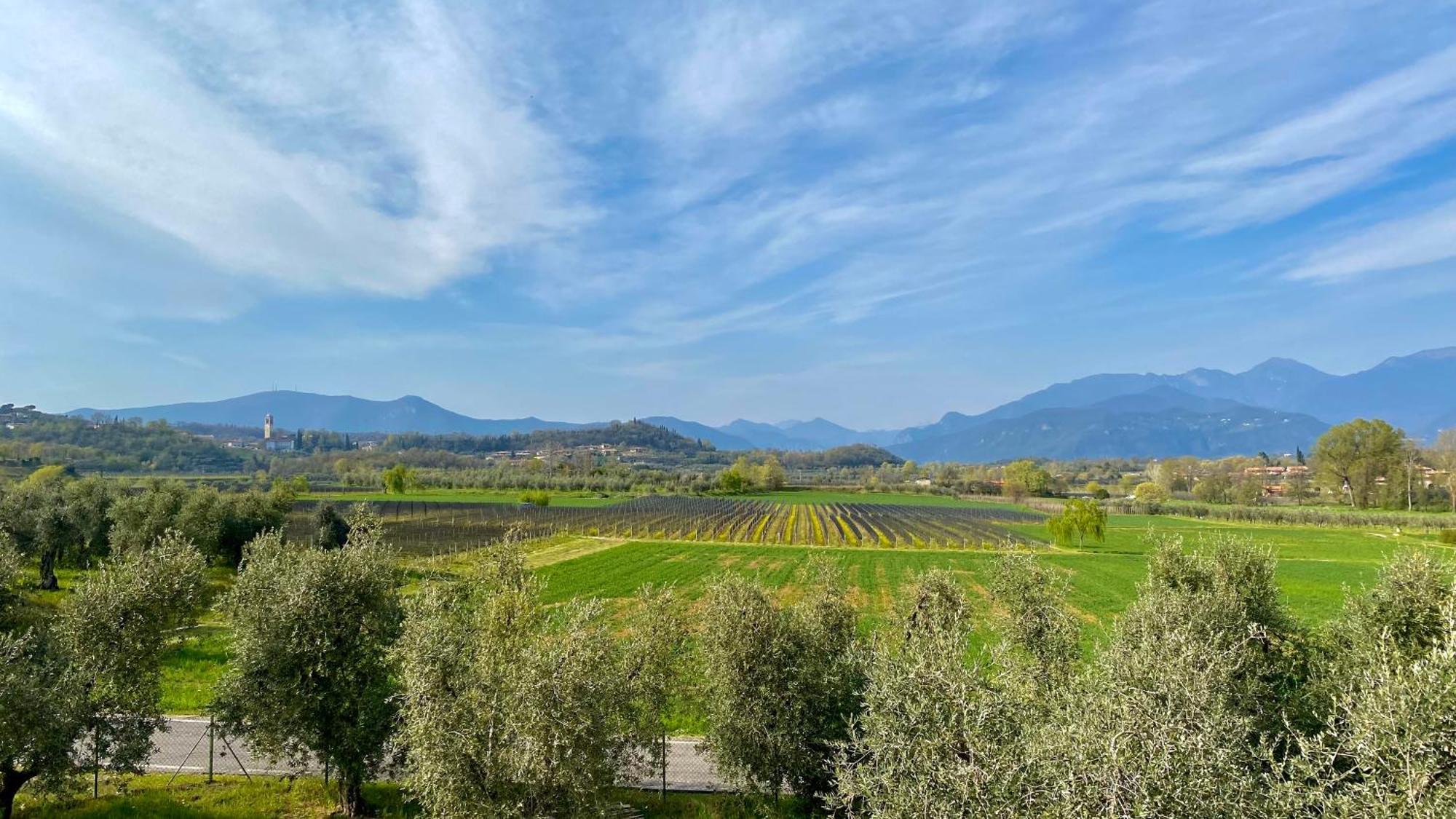 Agriturismo Fioralba Polpenazze del Garda Exterior photo