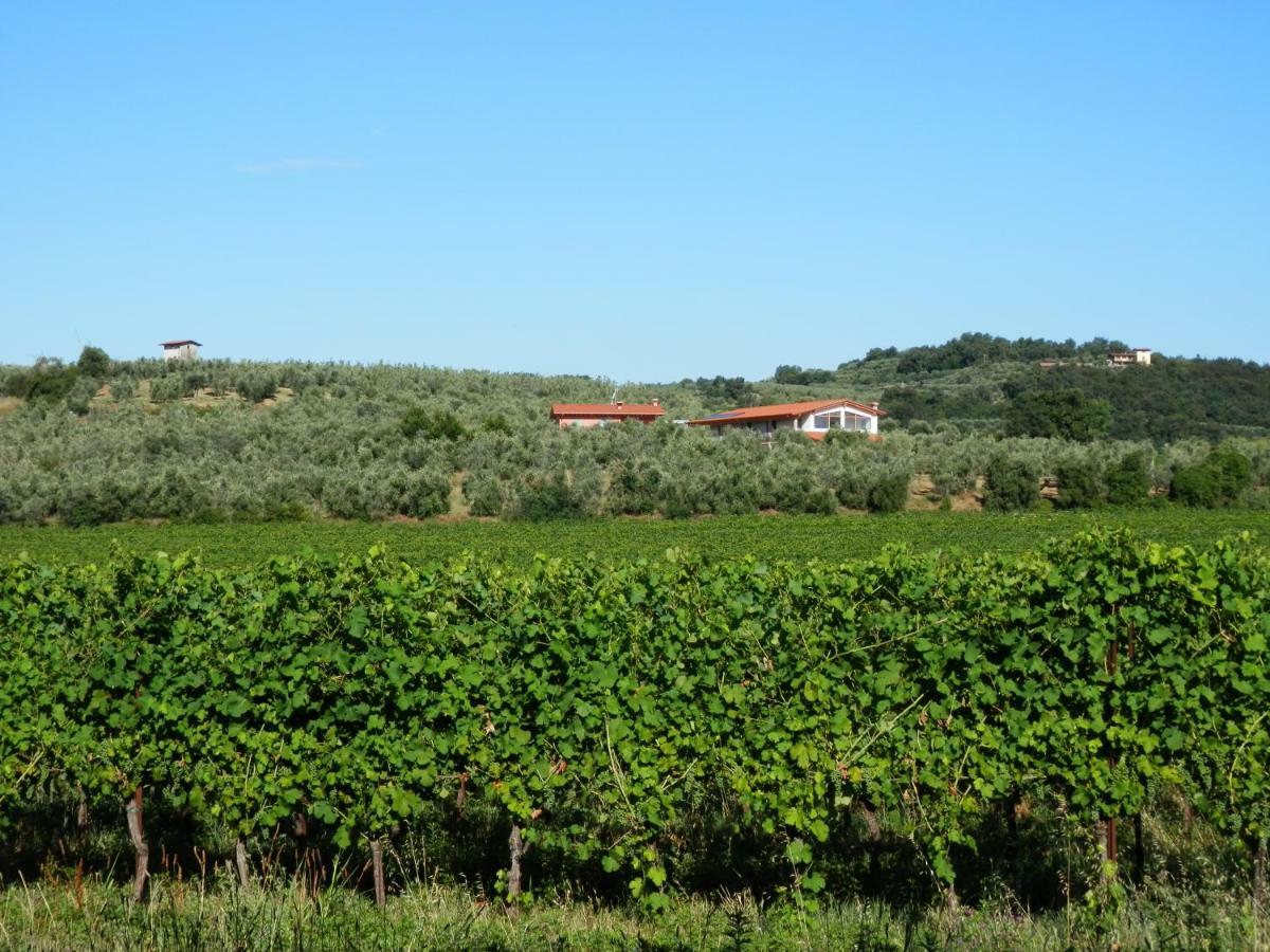 Agriturismo Fioralba Polpenazze del Garda Exterior photo